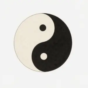 2 阴阳
