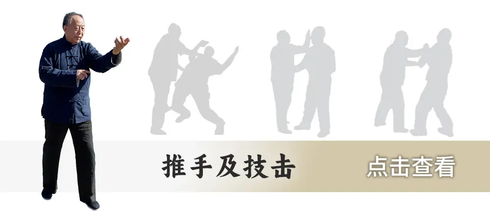 推手及技击 拷贝