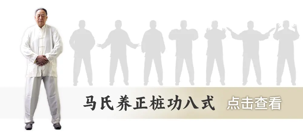 桩功八式 首页按钮 webp