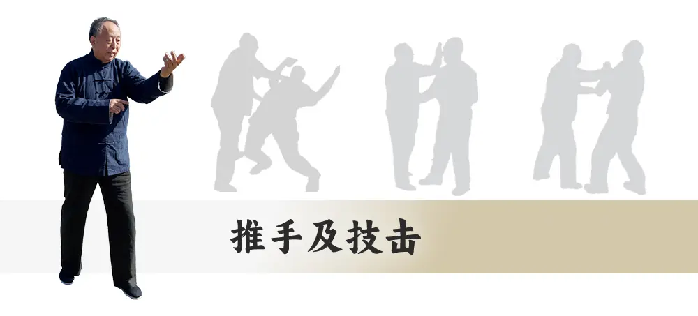 推手及技击
