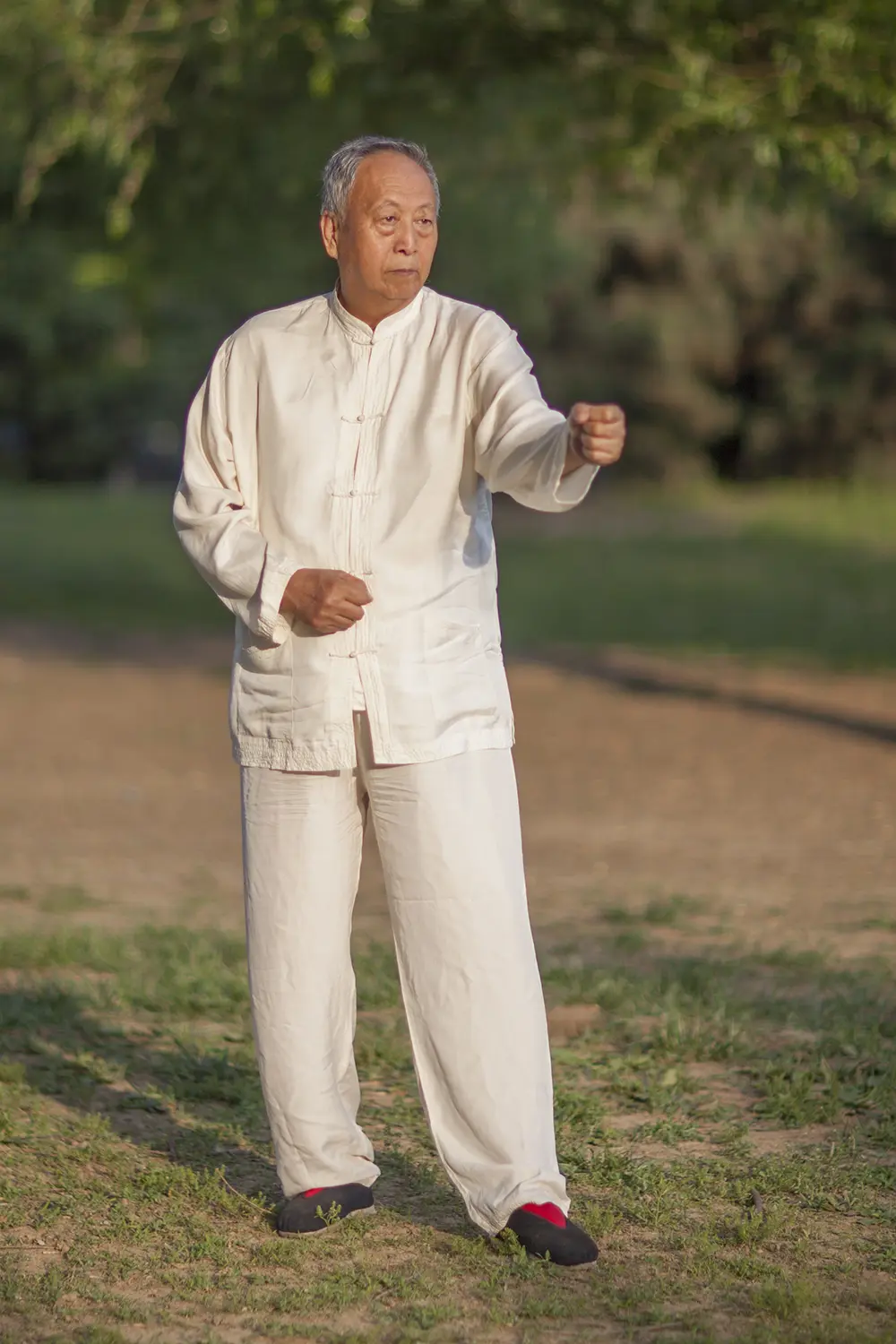 五行拳——崩拳 webp